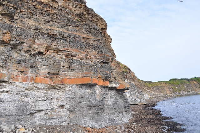 Holiday Dorset_1039.JPG - KIMMERIDGE BAY, DORSET - JUNE 2009 - JURASSIC COAST - GEOLOGICAL & FOSSIL HOTSPOT